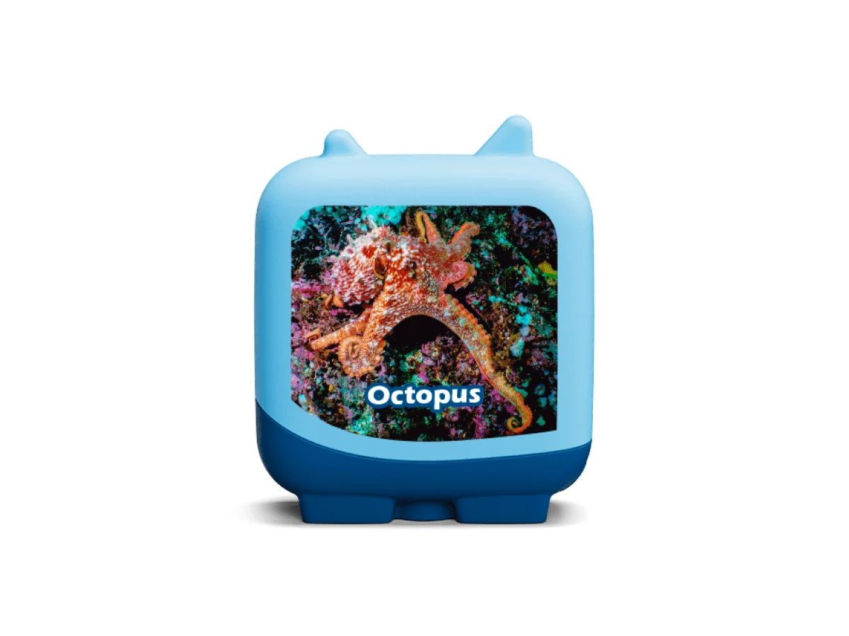 Marine Life Pocket Tonies - 4 Pack - Image 6