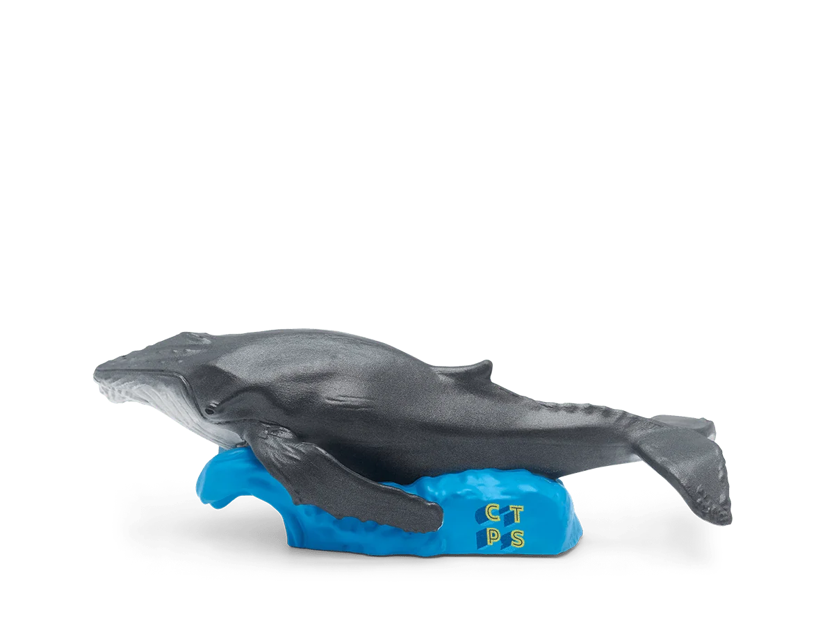 National Geographic Kids: Whale Tonie - Image 8