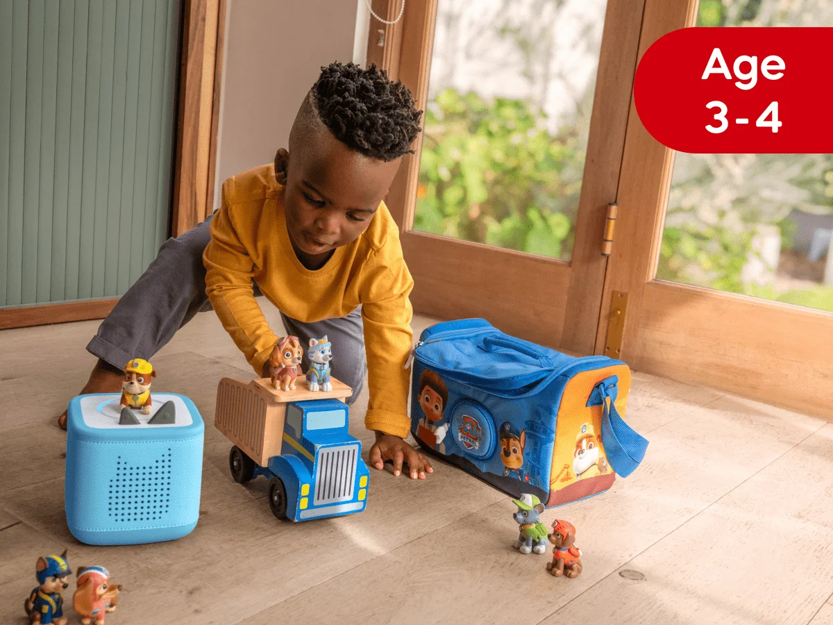 Subscription: Literary, Nap Time, Animal Tonies for 3-4 years
